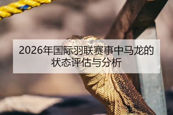 2026年国际羽联赛事中马龙的状态评估与分析